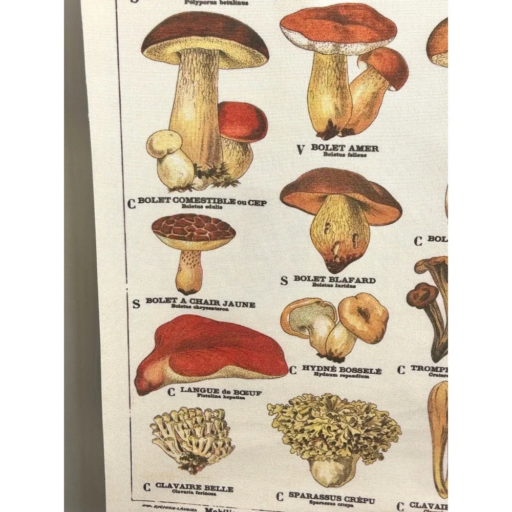 Vintage French Mushroom Botanical Scroll Wall Hanging Canvas Fungi Chart Art